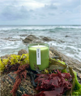 Heaven Scent’s Green Botanical natural, soy, vegan candle inspired by the ancient knowledge of plants and beliefs that surround them. Aroma: Rosehip
