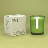Heaven Scent Ivy Green Botanical 20cl scented candles, poured in green glass with an illustrated box, made in the UK from sustainable plant wax