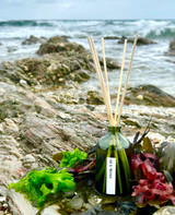 Heaven Scent’s Green Botanical vegan reed diffuser inspired by the ancient knowledge of plants and beliefs that surround them. Aroma: Sea Moss