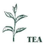 Wholesale, Green Botanical Range box of 9 tealight candles made with natural, soy, vegan wax and fragrance & essential oils. Aroma: Tea