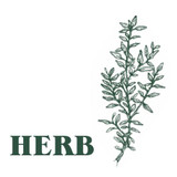 Heaven Scent’s Green Botanical hand-dipped incense inspired by the ancient knowledge of plants and beliefs that surround them. Aroma: Herb