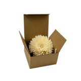 Heaven Scent's Sustainable 12cm Chrysanthemum Sola & Cotton Diffuser Flower, perfect to pair with our bottles and reed diffuser liquids. Heaven Scent's Sustainable 12cm Chrysanthemum Sola & Cotton Diffuser Flower, perfect to pair with our bottles and reed diffuser liquids.