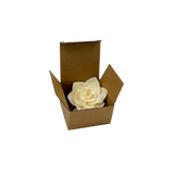 Heaven Scent's Sustainable 8cm Jasmine Sola & Cotton Diffuser Flower, perfect to pair with our bottles and reed diffuser liquids. Heaven Scent's Sustainable 8cm Jasmine Sola & Cotton Diffuser Flower, perfect to pair with our bottles and reed diffuser liquids.