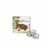 Heaven Scent's new  illustrated box of 9 tealights are made from natural, vegan, soy and rapeseed wax. Black Cherry/Winter Ramble - Hedgehog (Wildlife Range) Heaven Scent's new  illustrated box of 9 tealights are made from natural, vegan, soy and rapeseed wax. Black Cherry/Winter Ramble - Hedgehog (Wildlife Range)