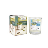 A Heaven Scent 9cl scented votive candle in a clear glass jar alongside its matching illustrated gift box. Both the candle label and the box feature. Aroma: Black Pomegranate; Illustration: Vintage Pot and Plant