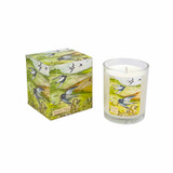 A Heaven Scent 20cl scented candle in a clear glass jar alongside its matching illustrated gift box. Aroma: Herb; Illustration: Breezy Lee