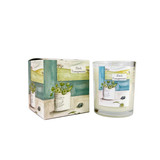 A Heaven Scent 20cl scented candle in a clear glass jar alongside its matching illustrated gift box. Aroma: Black Pomegranate ; Illustration: Vintage Pot & Plant