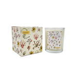 A Heaven Scent 20cl scented candle in a clear glass jar alongside its matching illustrated gift box. Aroma: Sea Salt & Spray; Illustration: Seaweed