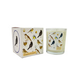 A Heaven Scent 20cl scented candle in a clear glass jar alongside its matching illustrated gift box. Aroma: Bergamot & Lemon; Illustration: British Birds