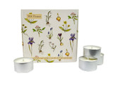 Heaven Scent tealights 20cl alongside an illustrated gift box which holds 9 scented tealights. Aroma: Bluebell; Illustration: Wild Flowers