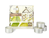 Heaven Scent tealights 20cl alongside an illustrated gift box which holds 9 scented tealights. Aroma: Rhubarb & Ginger; Illustration: Greenhouse & Allotment