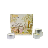 Heaven Scent tealights 20cl alongside an illustrated gift box which holds 9 scented tealights. Aroma: Rosemary, Sage & Thyme; Illustration: Herb Garden