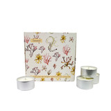 Heaven Scent tealights 20cl alongside an illustrated gift box which holds 9 scented tealights. Aroma: Sea Salt & Spray; Illustration: Seaweed