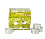 Heaven Scent tealights shown alongside an illustrated gift box which holds 9 scented tealights. Aroma: Aloe & Straw; Illustration: Black-Faced Sheep