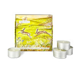 Heaven Scent tealights shown alongside an illustrated gift box which holds 9 scented tealights. Aroma: Apple Blossom; Illustration: Jumping Hares