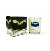 A Heaven Scent Autumn/Winter 20cl scented candle in a clear glass jar alongside its matching illustrated gift box. Aroma: Snow Forest; Illustration: Wild Woods Swooping Owl