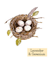 A Heaven Scent new SUMMER 20cl scented candle in a clear glass jar alongside its matching illustrated gift box. Aroma: Lavender & Geranium; Illustration: Eggs in a Nest