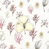 New! Heaven Scent Seashell Shaped Wax melts presented in a display box of 120 pieces, with an illustrated plinth label. The aroma is Sea, Salt & Sage