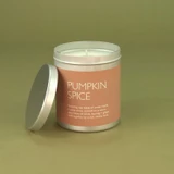 Heaven Scent Pumpkin Spice festive vegan natural soy and plant wax scented candle in a travel tin displayed beside its lid against a green botanical background
