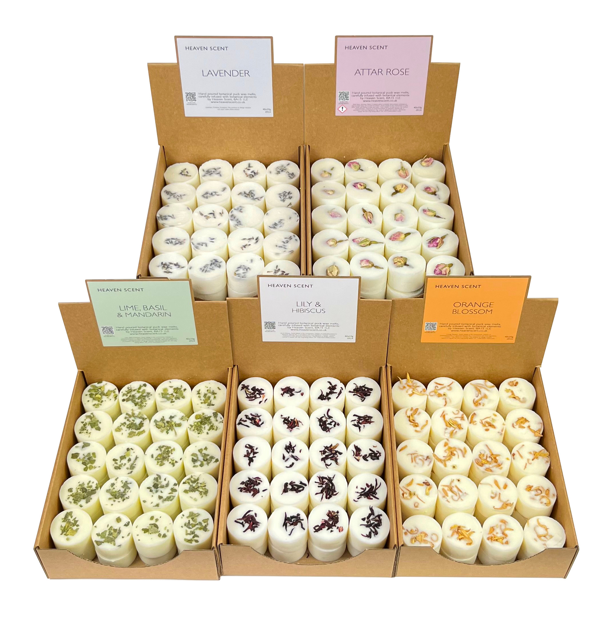 20g Botanical Wax Melts - 5-Box PICK & MIX Starter Pack Wholesale