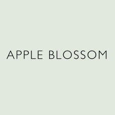 apple-blossom-heaven-scent-candle-non-toxic-natural-vegan-plant-wax-sustainable-reed-diffuser-incense-aroma2.jpg
