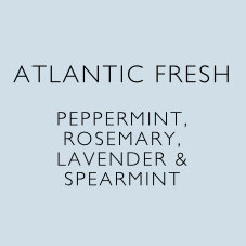atlantic-fresh-heaven-scent-candle-non-toxic-natural-vegan-plant-wax-sustainable-reed-diffuser-incense-aroma2.jpg
