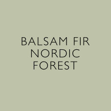 balsam-fir-nordic-forest-heaven-scent-candle-non-toxic-natural-vegan-plant-wax-sustainable-reed-diffuser-incense-aroma2.jpg