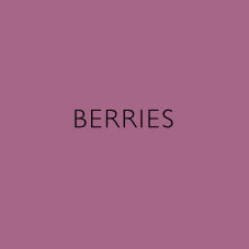 berries-heaven-scent-candle-non-toxic-natural-vegan-plant-wax-sustainable-reed-diffuser-incense-aroma2.jpg