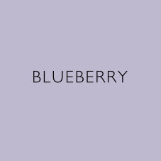 blueberry-heaven-scent-candle-non-toxic-natural-vegan-plant-wax-sustainable-reed-diffuser-incense-aroma.jpg