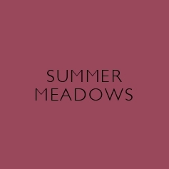 Summer Meadow