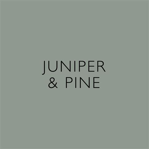 juniper-pine-small-.jpg