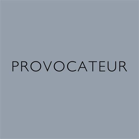 provocateur-small-.jpg