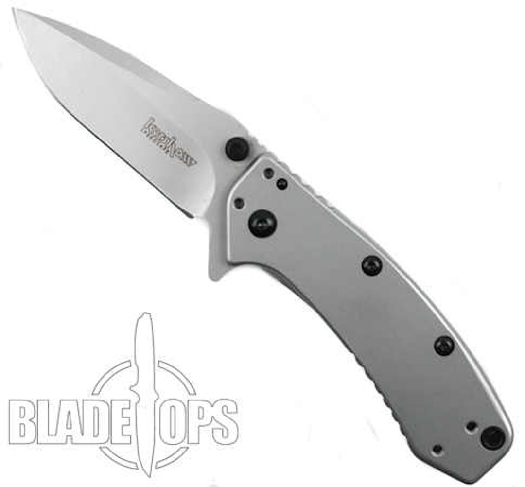 Kershaw Stainless Cryo Spring Assist Knife, Standard Blade, KS1555