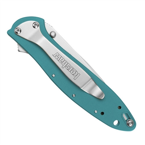 Kershaw Teal Leek Spring Assist Knife, Plain Blade, 1660TEAL