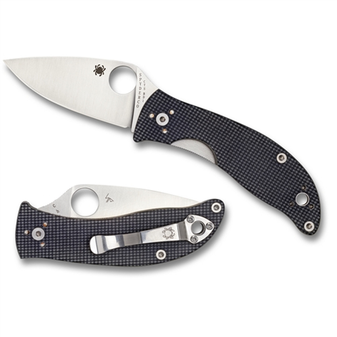 Spyderco C222GPGY Black/Grey Alcyone Folder Knife, CTS-BD1 Satin Blade