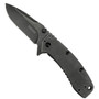 Kershaw BlackWash Cryo II Spring Assist Knife, Standard Blade