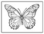 Grab Bag of 3 Random Butterflies