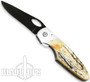 Bear & Son 510 4 1/8" Sideliner Lock Genuine India Stag Bone Knife