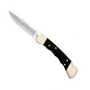 Buck Hunter Lockback Folder Knife, Satin Blade