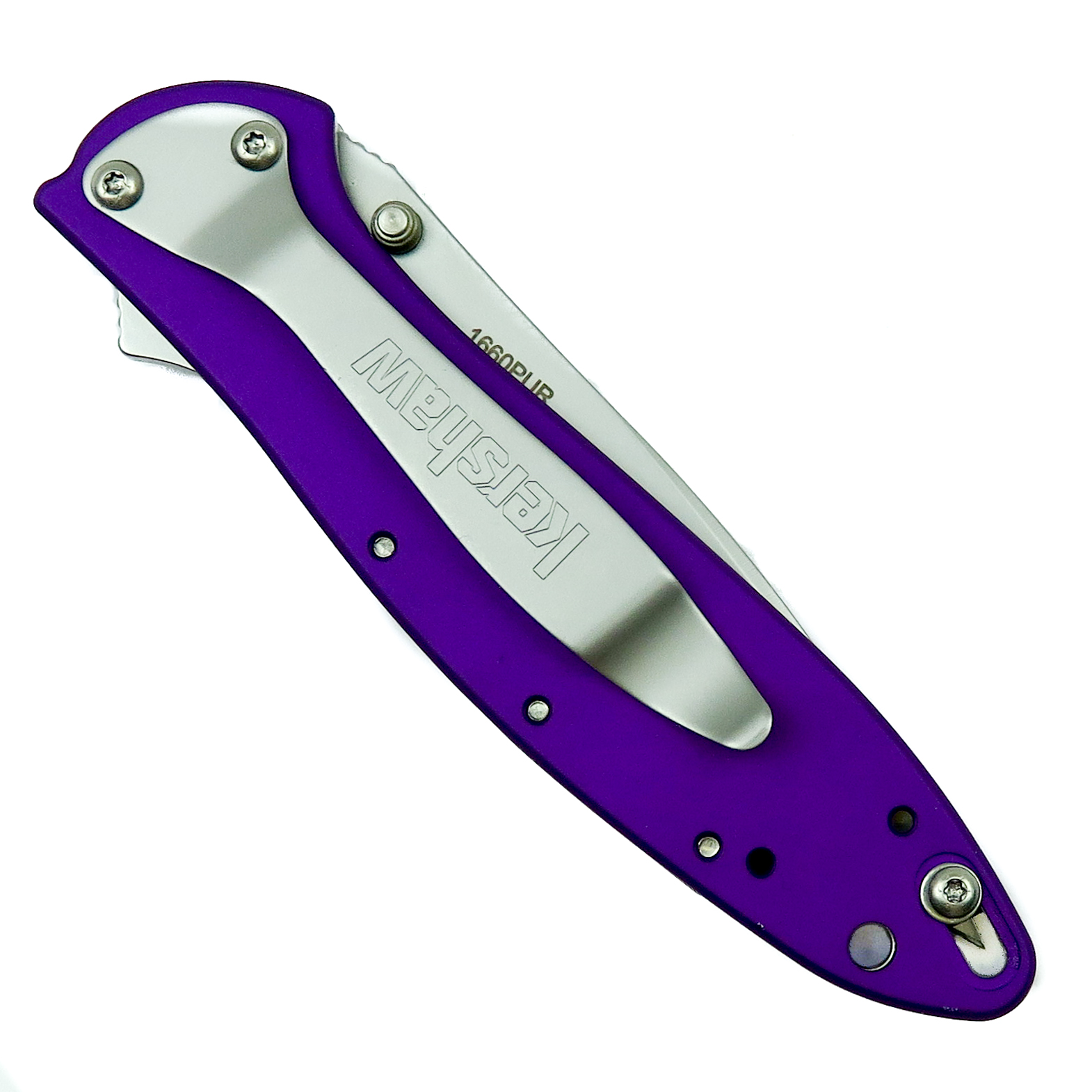 Kershaw Purple Leek Spring Assist Knife, Plain Blade, 1660PUR