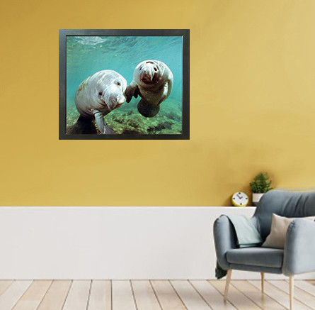 Pair of Manatee Doug Perrine Ocean Animal Wall Decor Espresso Framed