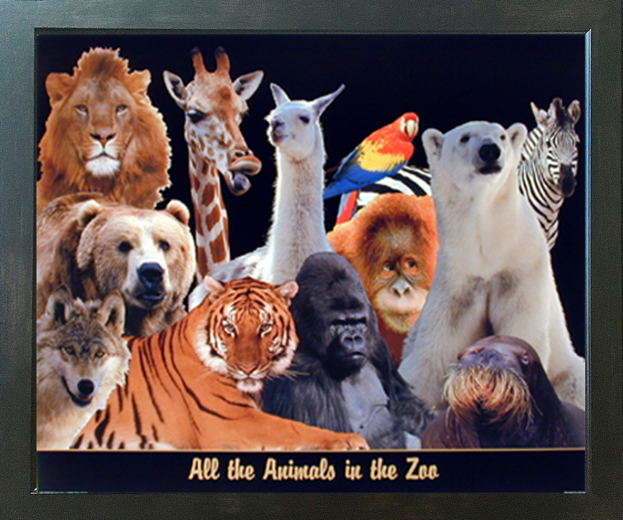 zoo animal collage kids room wall decor espresso framed art print picture 20x24 impact posters gallery
