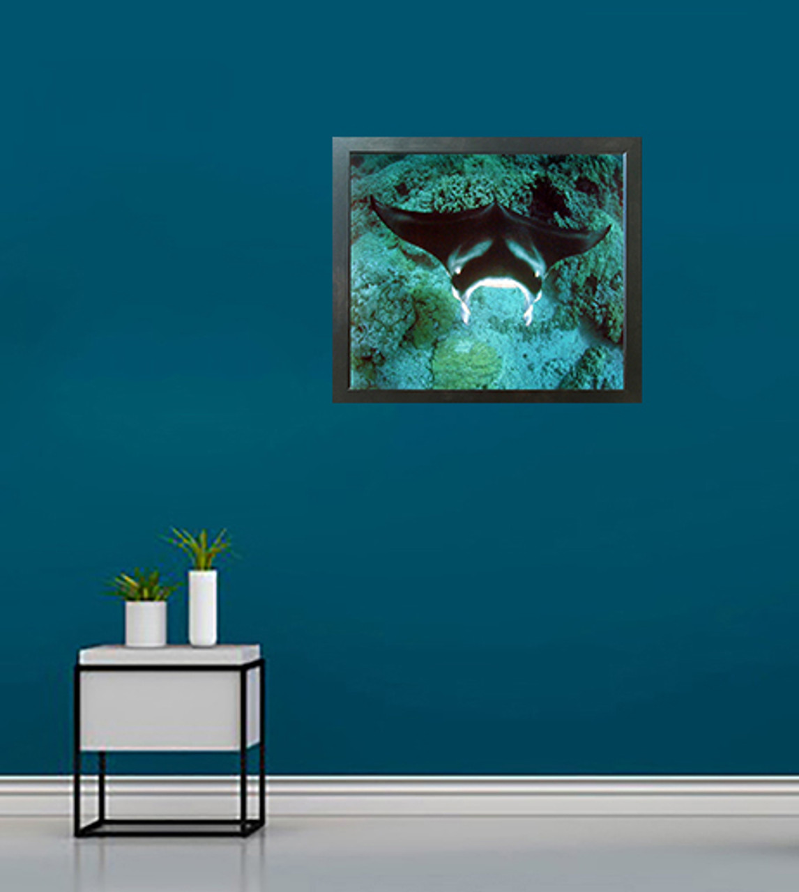 Underwater Sea Life - Canvas Art Print - Animal Decor