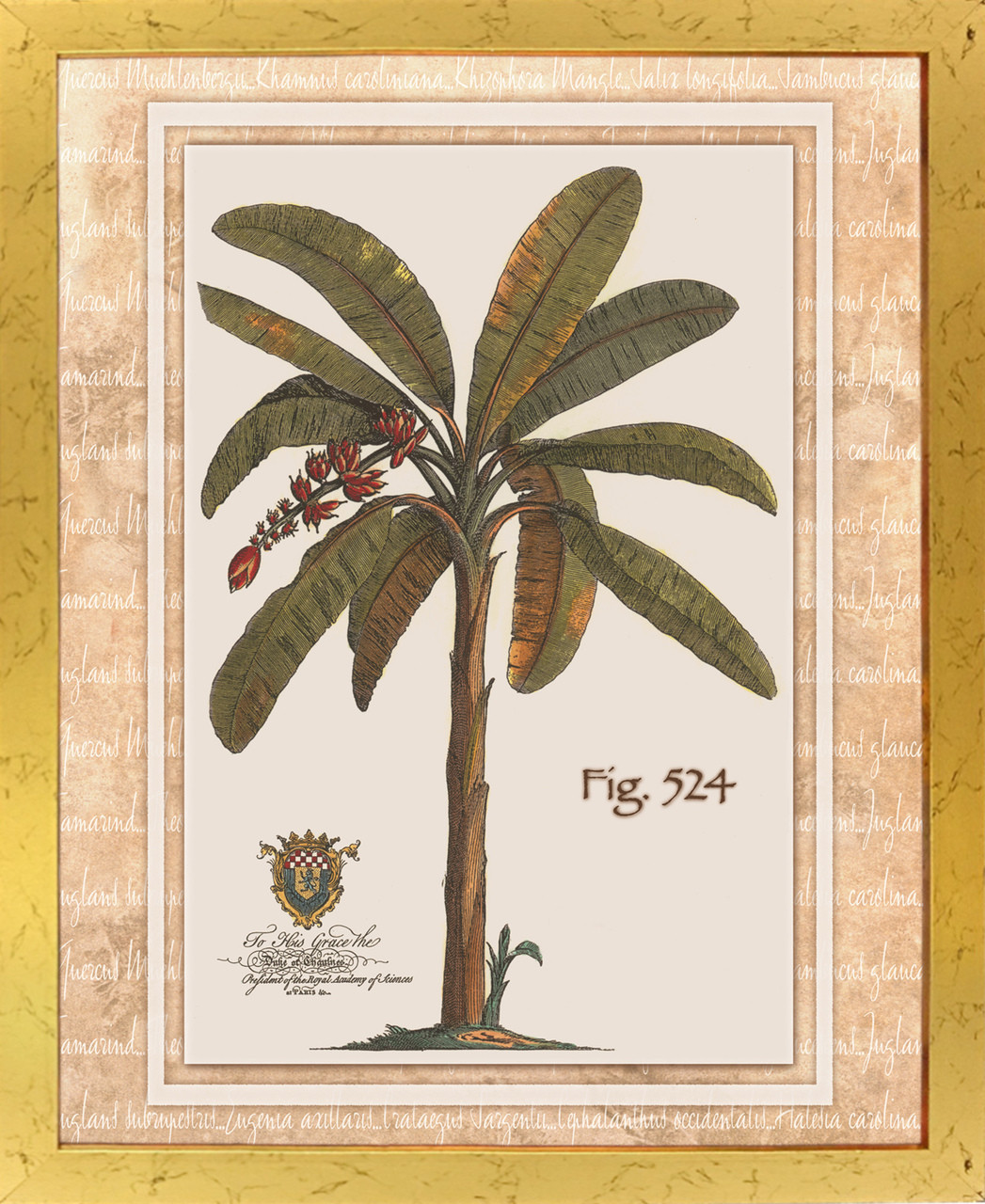 Tropical Palm Tree Bathroom Golden Framed Wall Decor Art Print Poster 18x24 Impact Posters Gallery