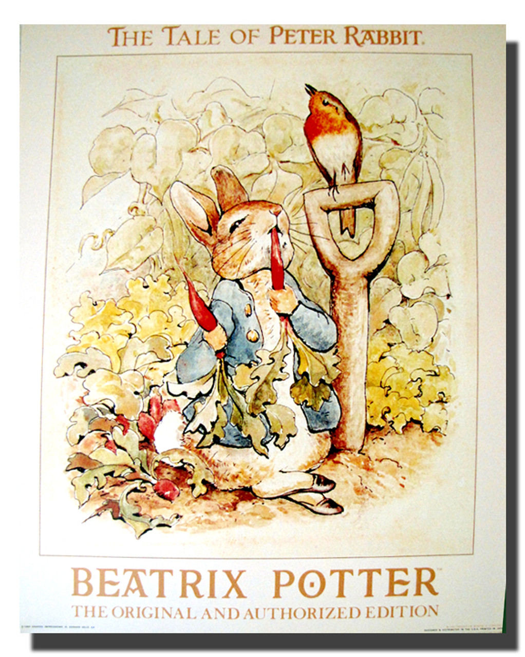 The Tale of Peter Rabbit Beatrix Potter Kids Room Wall Decor Art Print  Poster (8x10) - Impact Posters Gallery