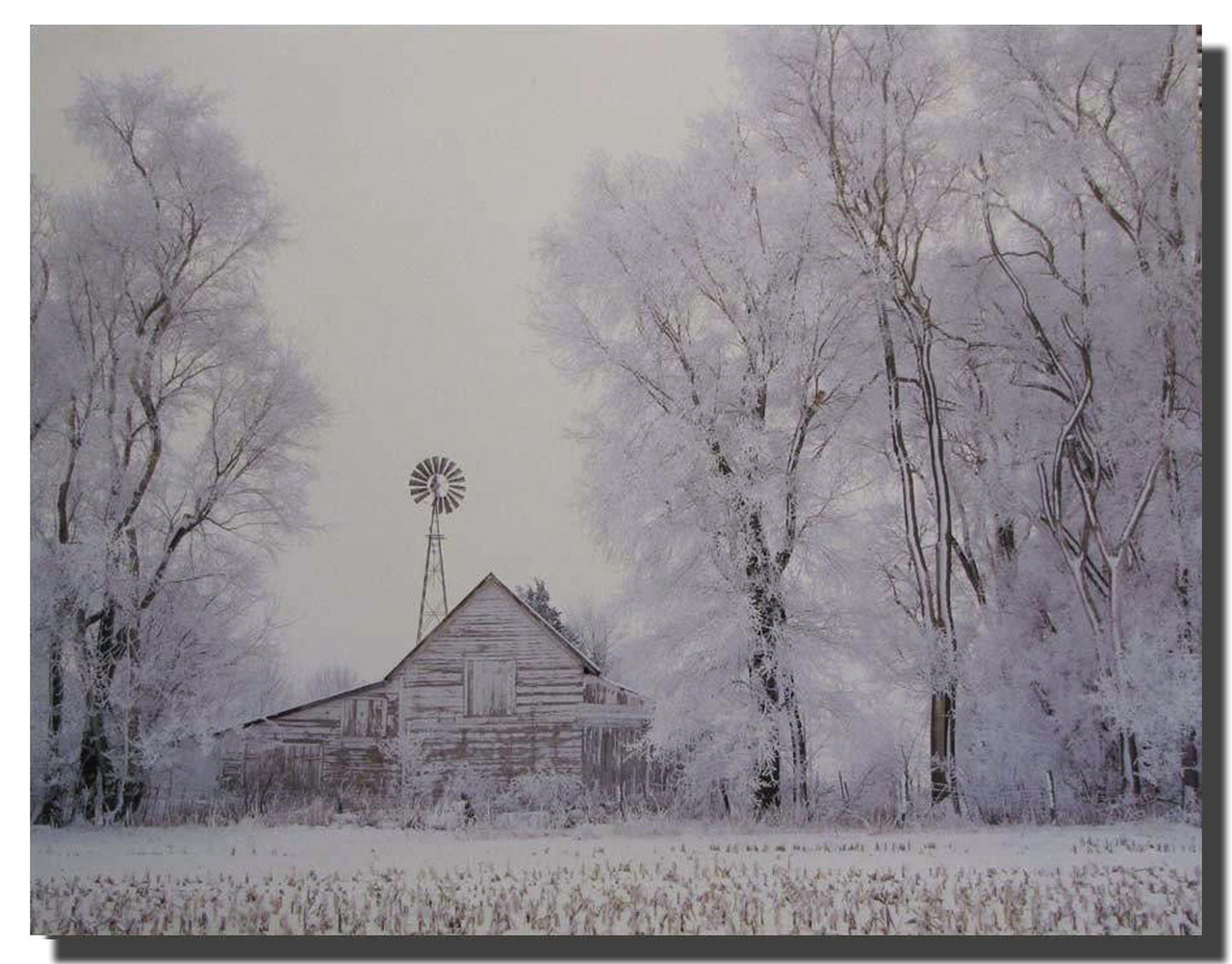 Fog Rural Country Barn Winter Snow Tree Wall Decor Art Print