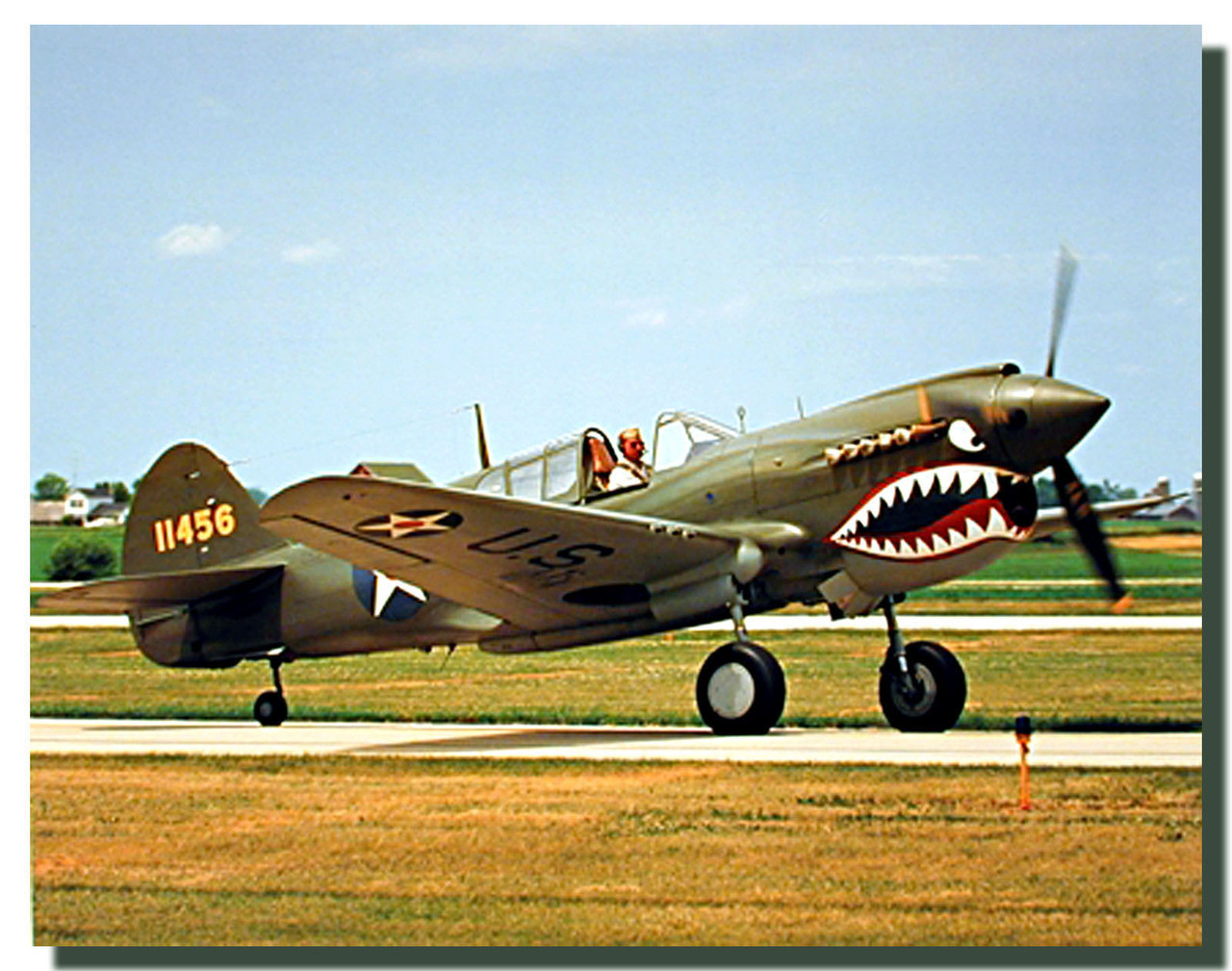 p40 warhawk art