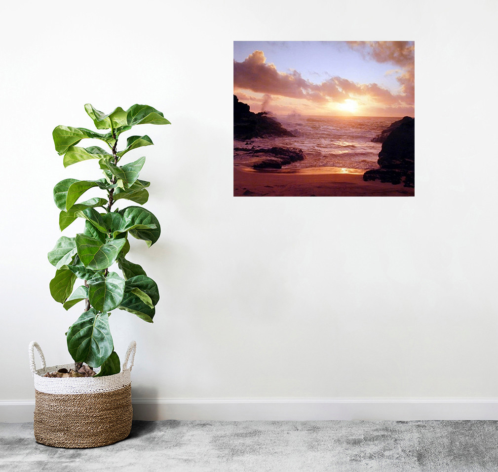 Coastal Sunrise on Ocean Beach Poster Nature Ppsters Sunset Posters