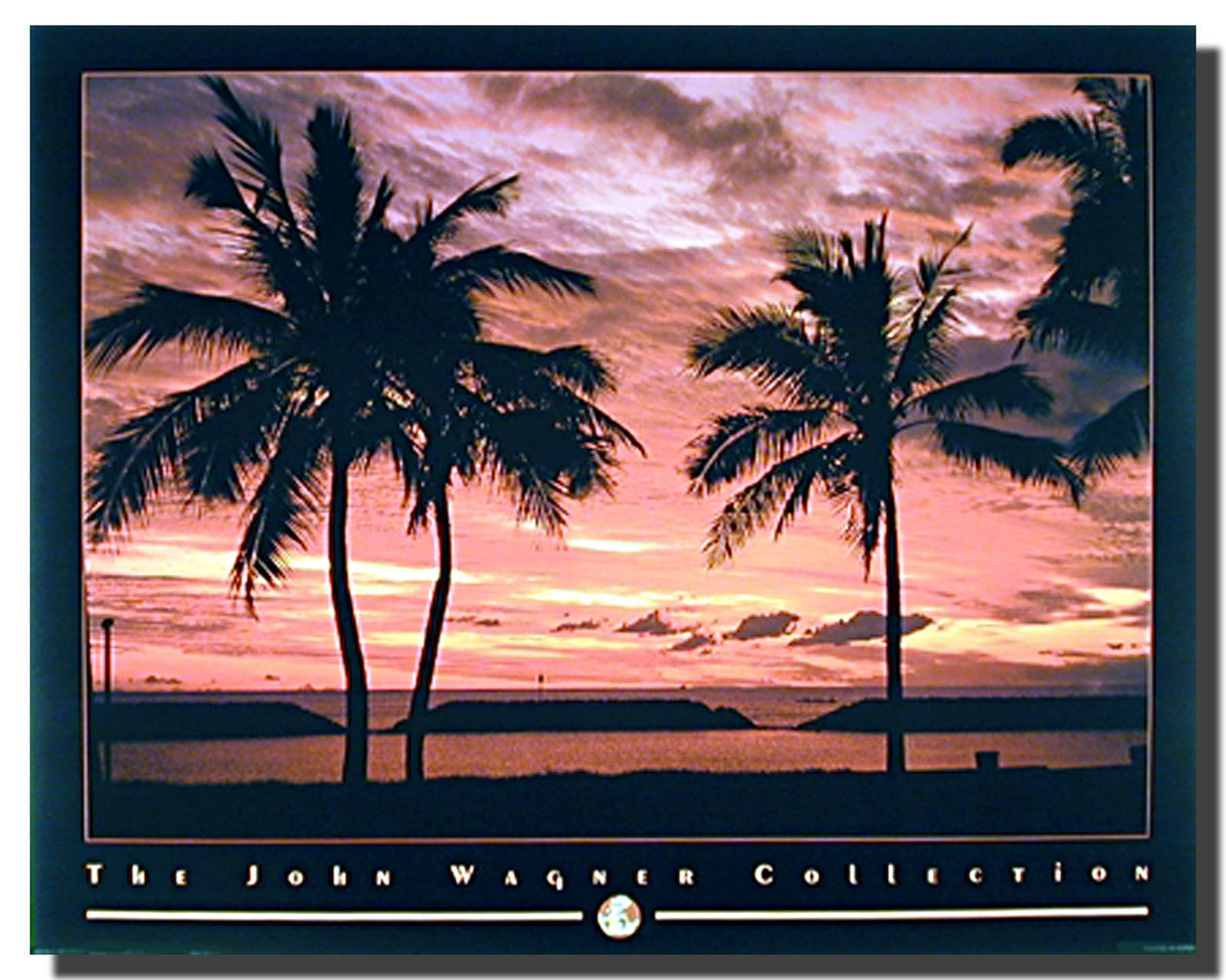 Palm Trees On Tropical Beach Art Print Home Decor Wall Art Poster C 