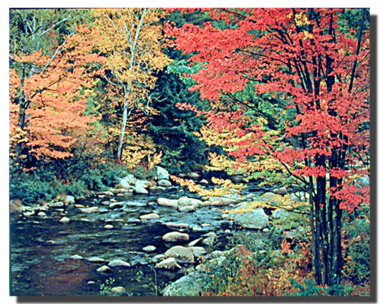 Water Rocks Poster | Nature Posters | Landscape Posters